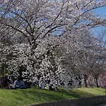 Kyonoya Senteur Goshohigashi